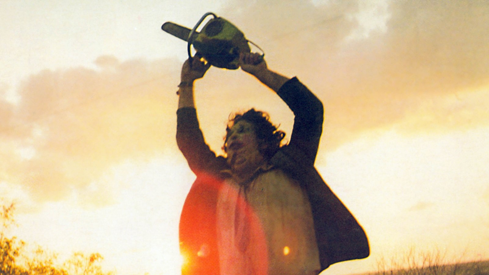Leatherface in The Texas Chainsaw Massacre (1974)